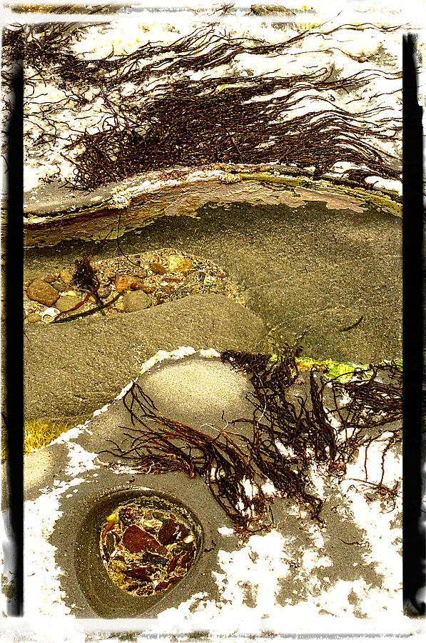 Rockpool Photograph by Claire Hull