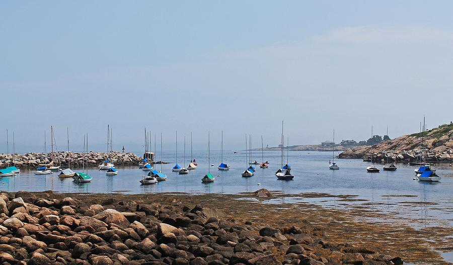 Rockport Harbor 2 Photograph by Michael Saunders