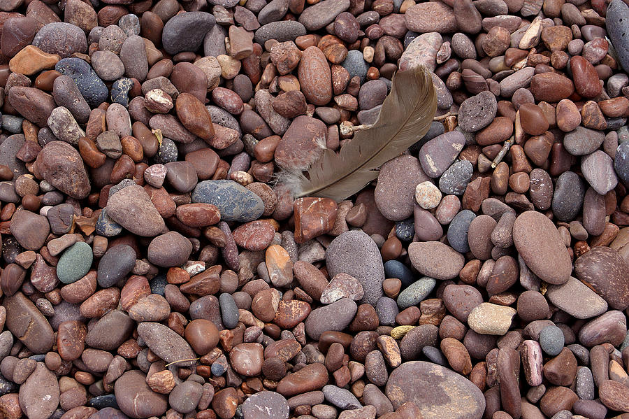 Rocks and Feather Photograph by Greg Wells