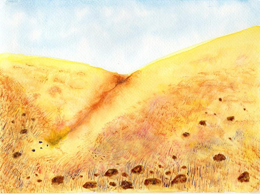 Rocks and Golden Grass Painting by Jim Taylor