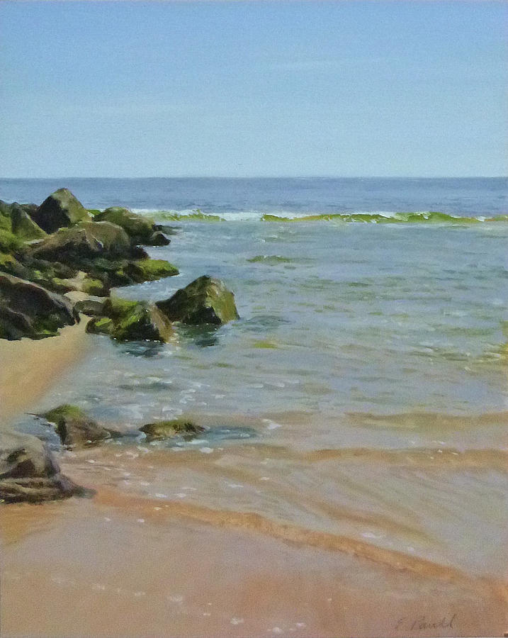 Rocks and shallows Painting by Ellen Paull