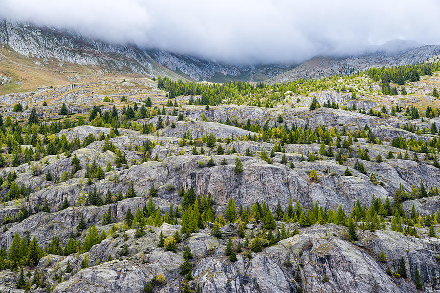Rocks and trees - Alpine scenery in the Swiss Alps Switzerland Photograph by Matthias Hauser