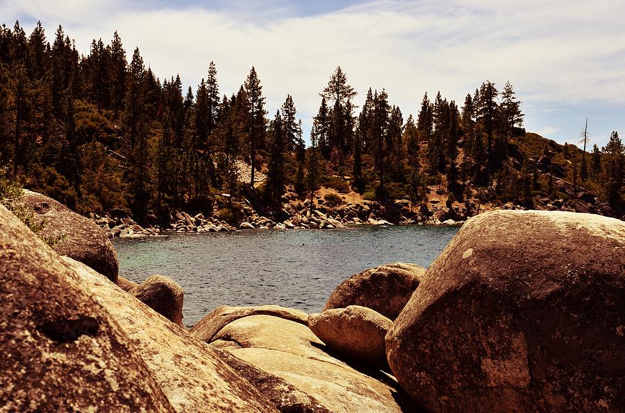 Rocks and water and pine trees Photograph by Ricardo Dominguez