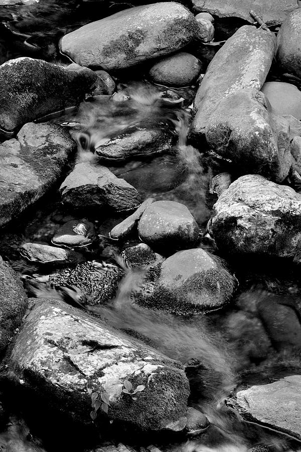 Rocks and Water Photograph by George Taylor