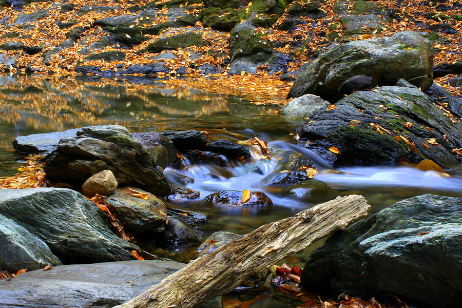 Rocks and Water in Autumn Photograph by Suzanne DeGeorge