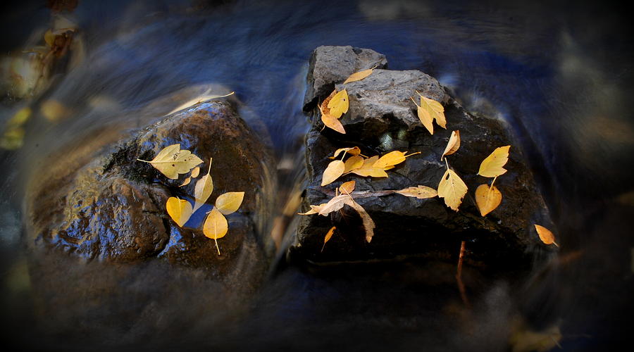 Rocks and water in fall Photograph by Nathan Abbott