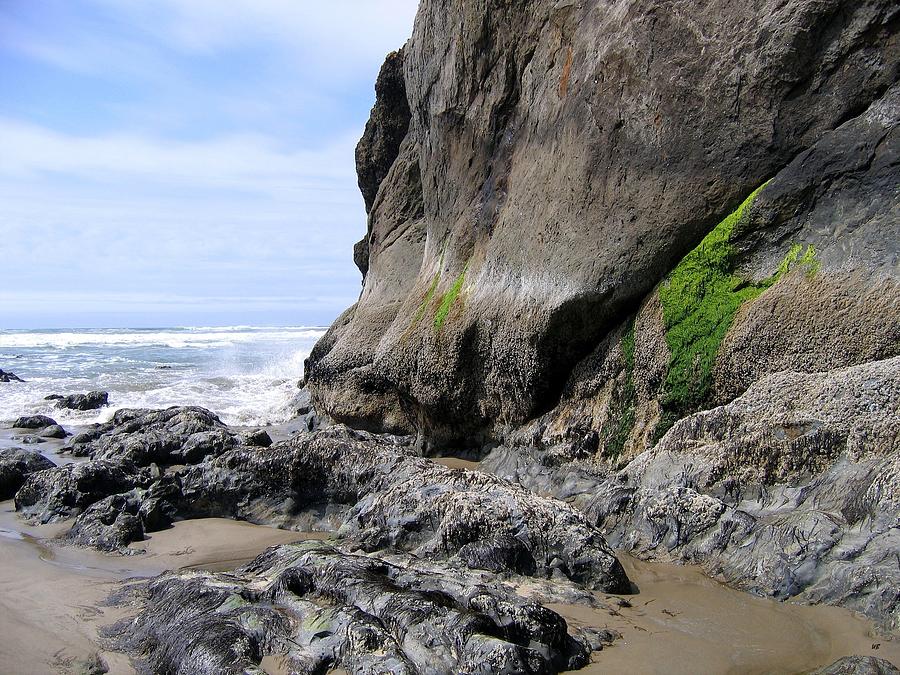 Rocks At Arcadia Beach Photograph by Will Borden