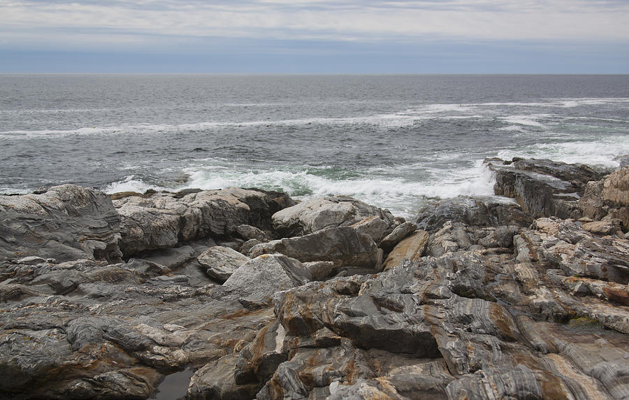 Rocks At Gull Cove Photograph