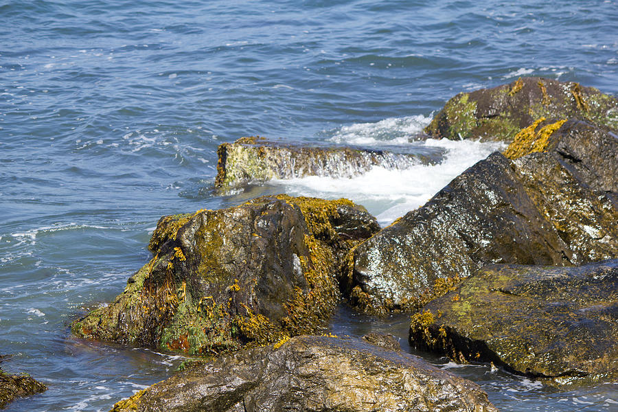 Rocks at Montauk shore Photograph by Susan Jensen