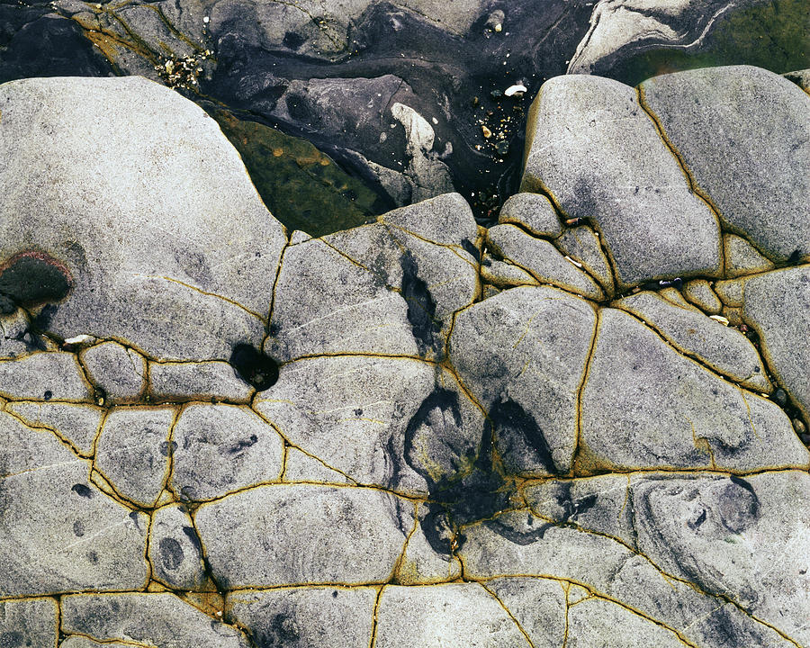 Rocks At Point Lobos C2014 Photograph