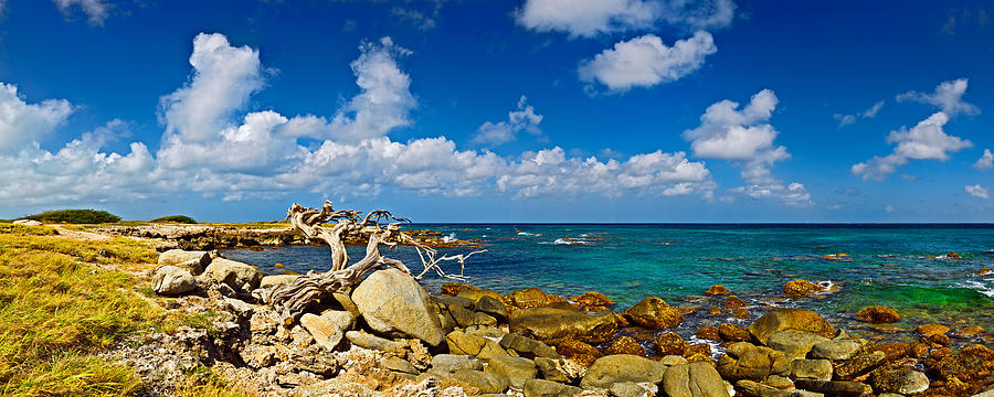 Rocks At The Coast, Aruba Photograph by Panoramic Images