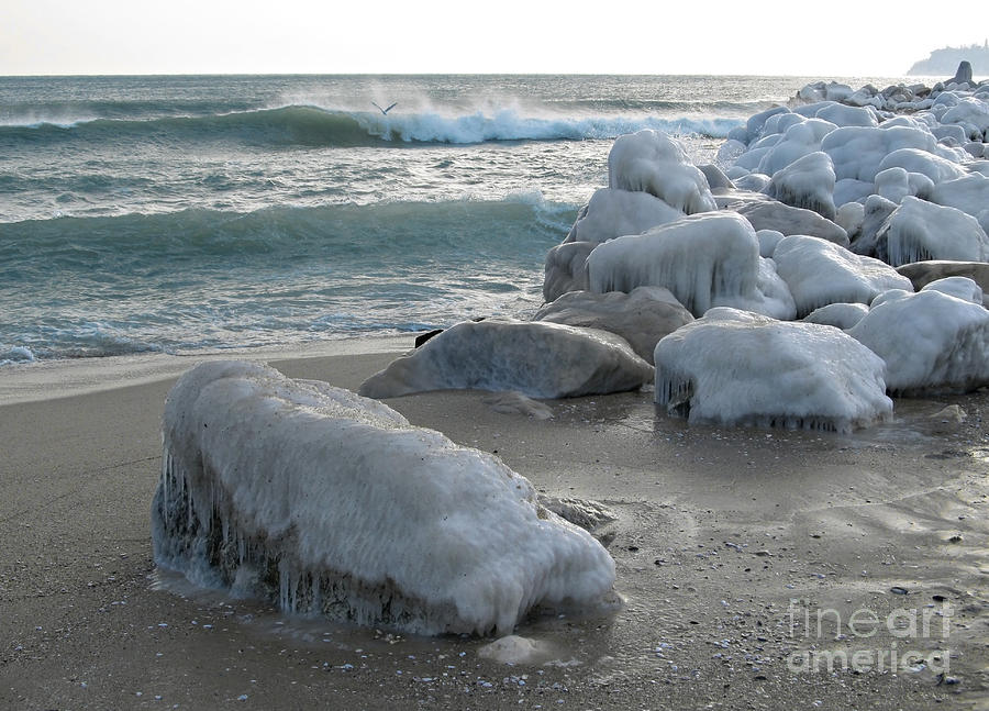 Winter Photograph - Rocks covered in ice on the sea shore by Kiril Stanchev