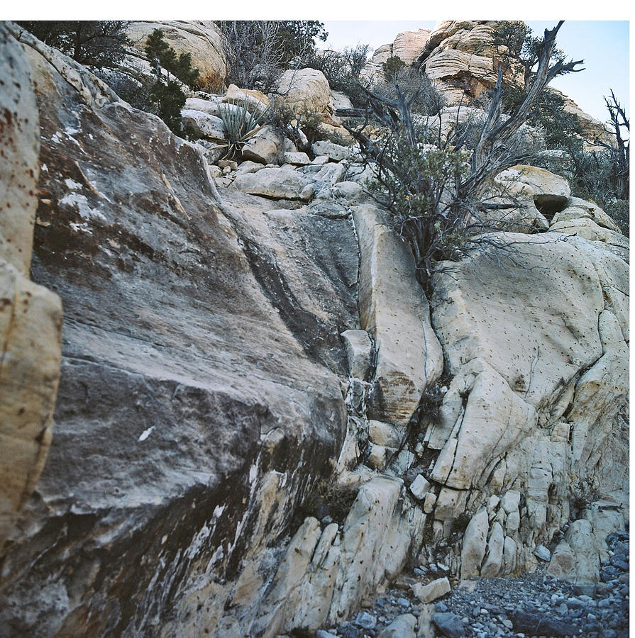 Landscape Photograph - Rocks In Desert by Larry Marano