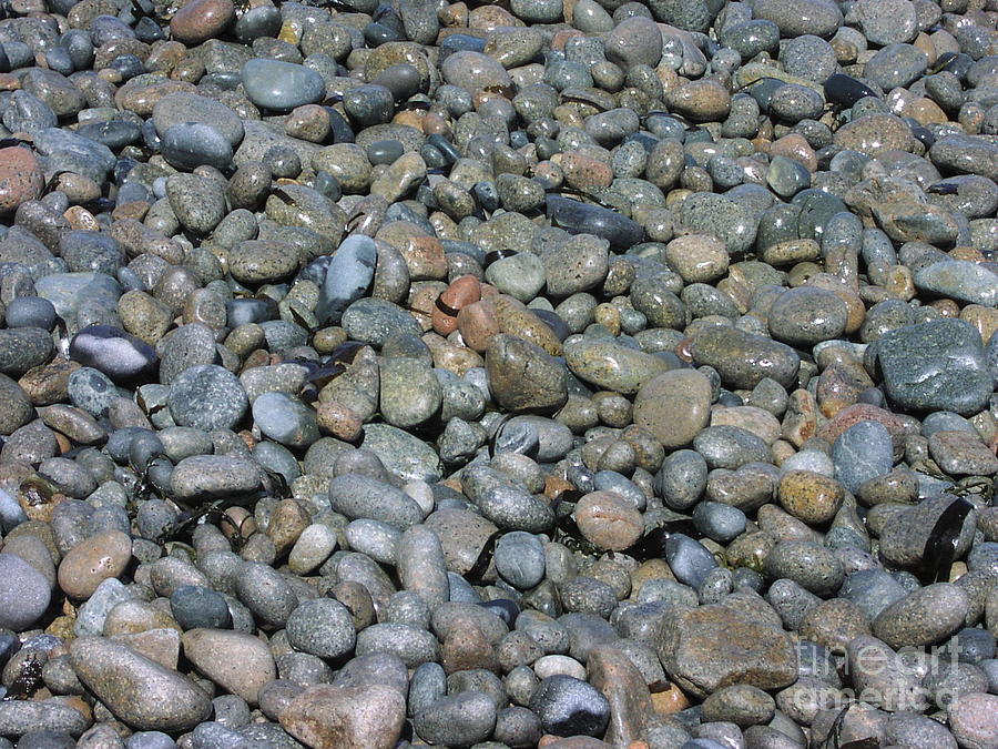 Rocks Photograph by John Greco