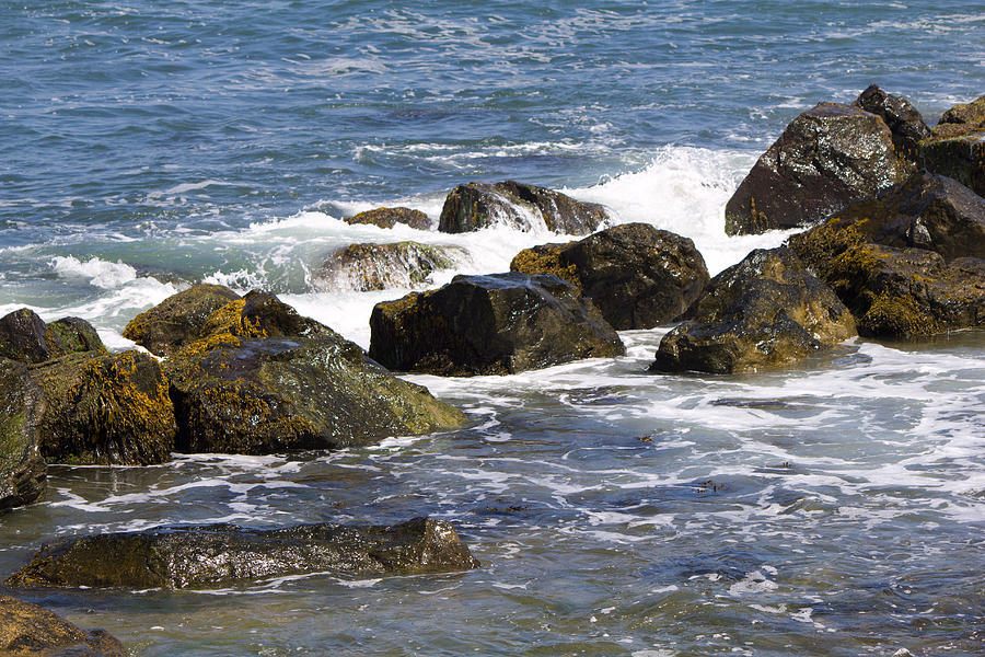 Rocks Montauk shore Photograph by Susan Jensen