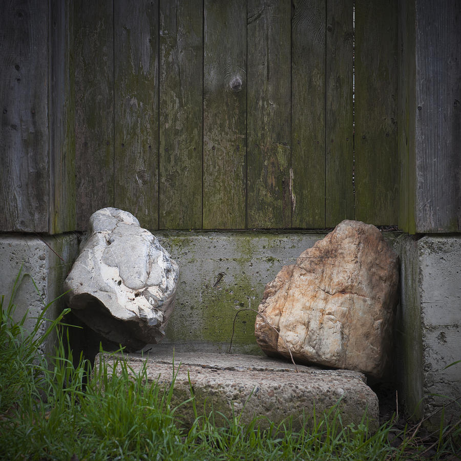 Nature Photograph - Rocks near a wooden fence by Vlad Baciu