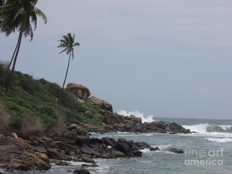 Palm Trees Photograph - Rocks of Kovalam Beach Kerala by Mini Arora