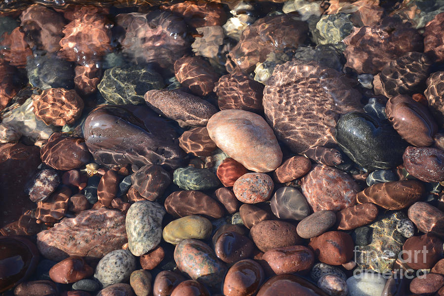 Rocks on the Beach Photograph by Forest Floor Photography