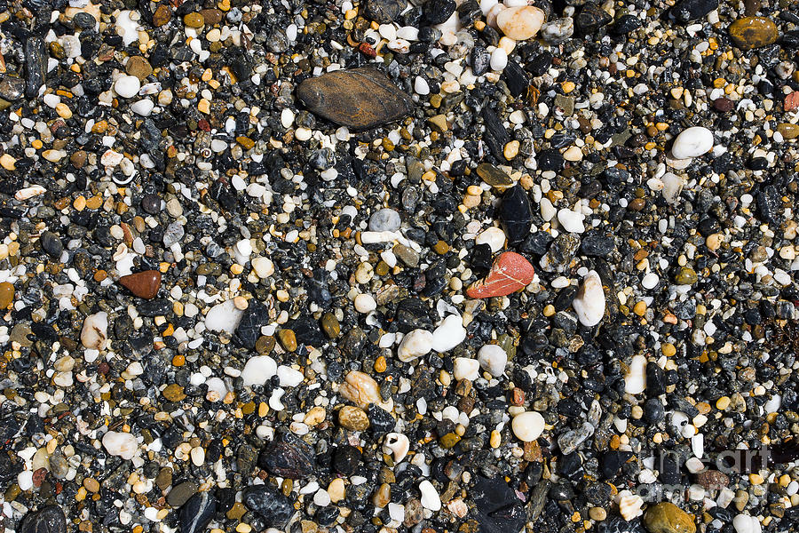 Rocks on the beach Photograph by Steven Ralser