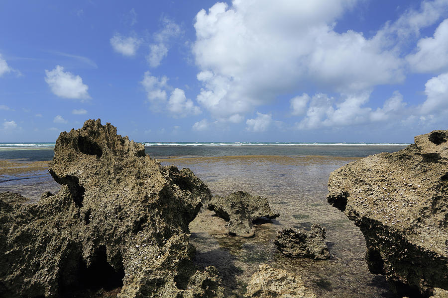 Rocks On The Beach, Watamu Marine Photograph by Vincenzo Lombardo