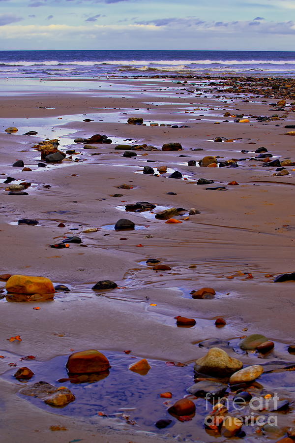 Rocks on the Seashore Photograph by Martyn Arnold