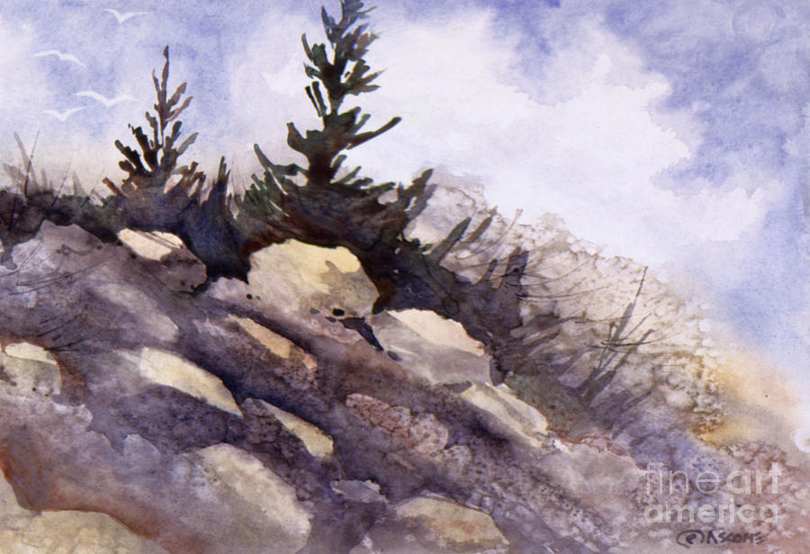 Rocks Painting by Teresa Ascone