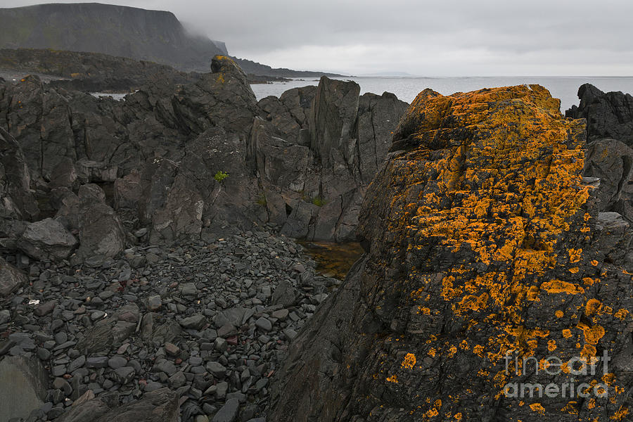 Rocks with Lichens Photograph by Heiko Koehrer-Wagner