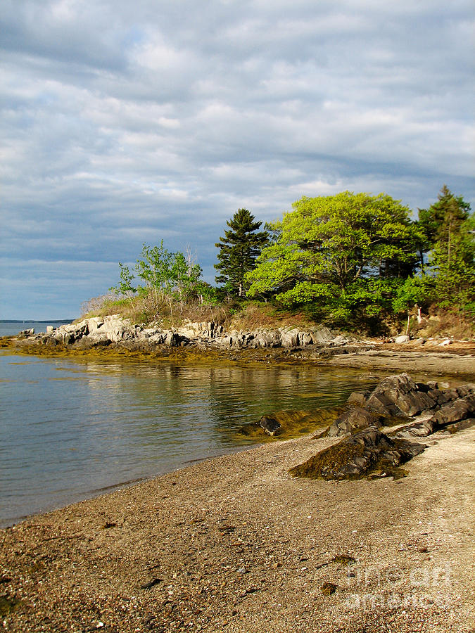 Rocky Beach in Maine Photograph by DejaVu Designs | Fine Art America