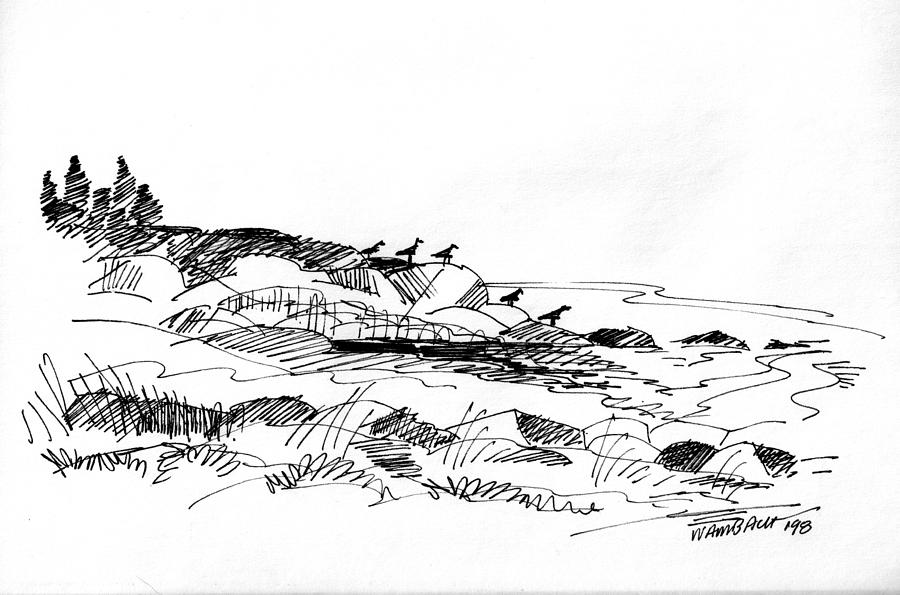 Rocky Beach Monhegan 1998 Drawing by Richard Wambach