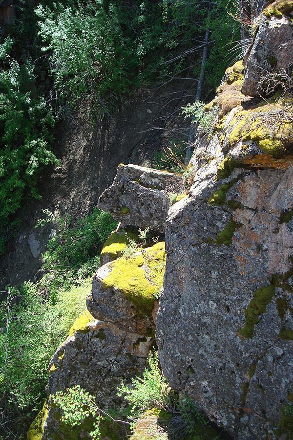 Rocky Cliff Photograph by Susan Woodward