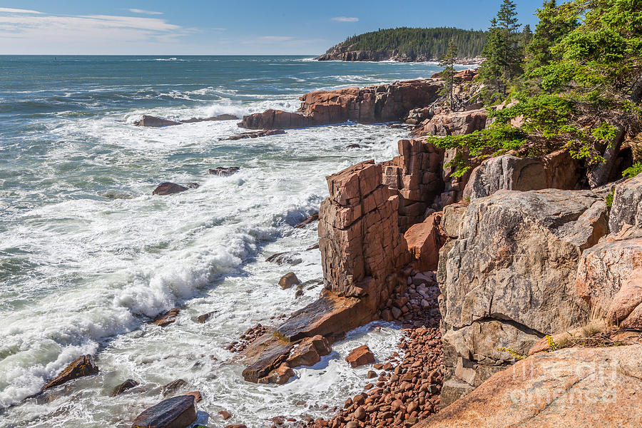 Rocky Cliffs in Acadia Photograph by Susan Cole Kelly