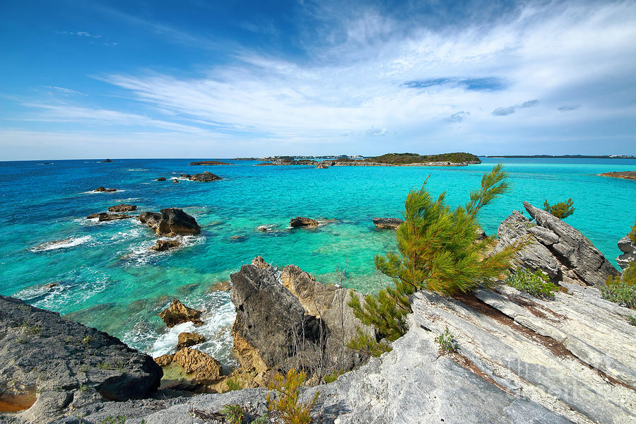 Rocky Coast of Bermuda Photograph by Charline Xia