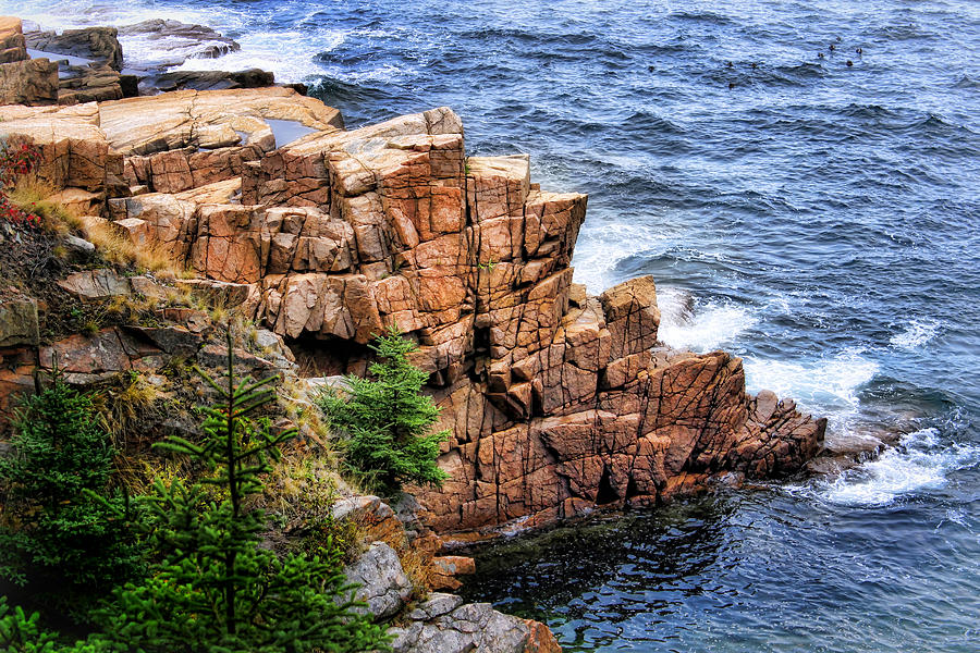 Rocky Coast of Maine Photograph by Carolyn Derstine