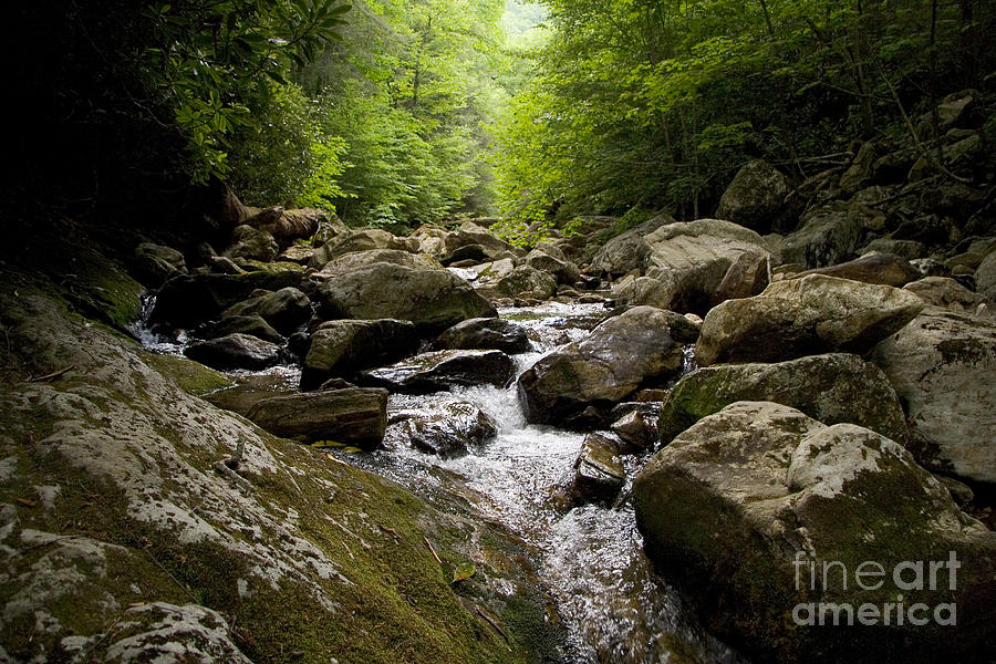 Mountain Photograph - Rocky Creek by Jonathan Welch
