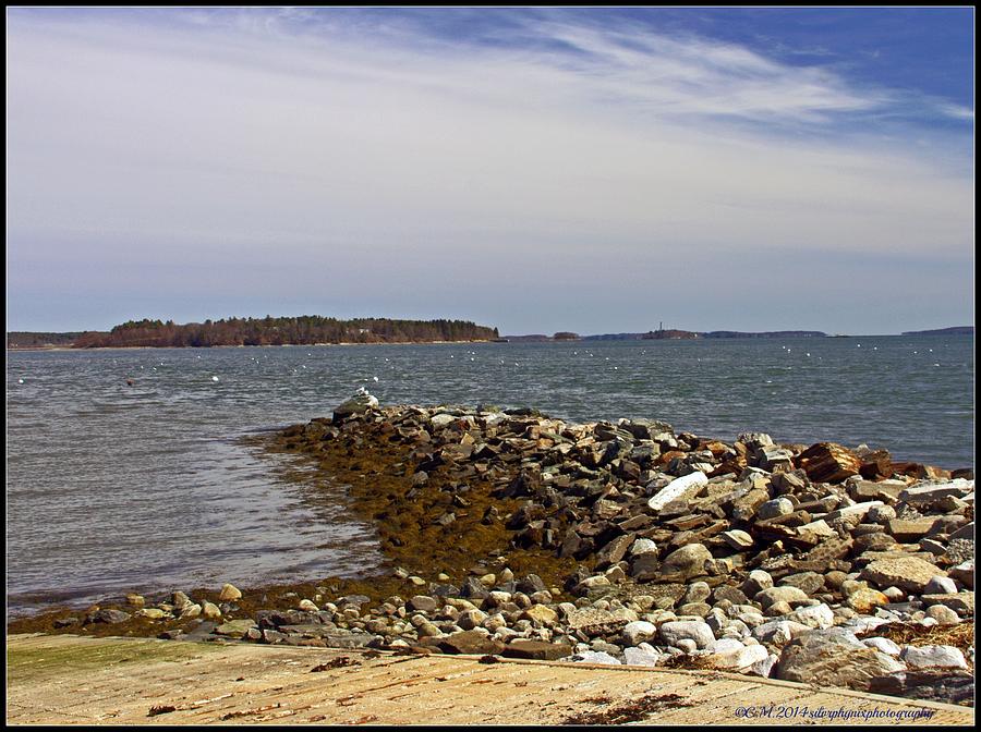 Rocky Maine Shore Photograph By Catherine Melvin 