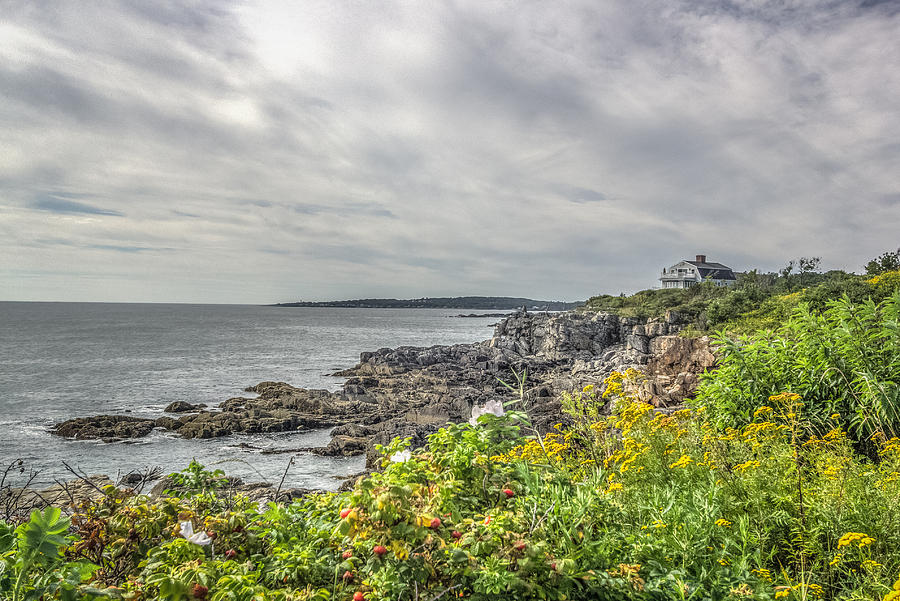 Rocky Maine shoreline Photograph by Jane Luxton