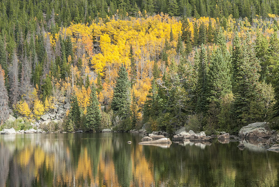 Rocky Mountain Autumn 1 Photograph by David Drew