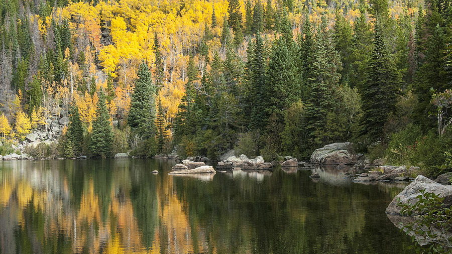 Rocky Mountain Autumn 4 Photograph by David Drew