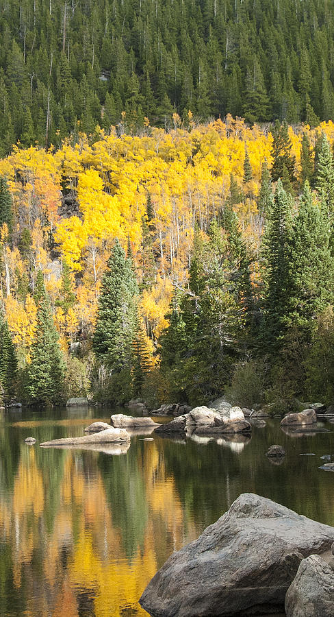 Rocky Mountain Autumn 6 Photograph by David Drew