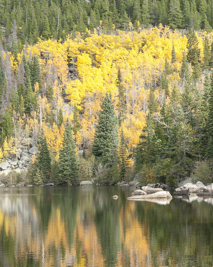 Rocky Mountain Autumn 8 Photograph by David Drew