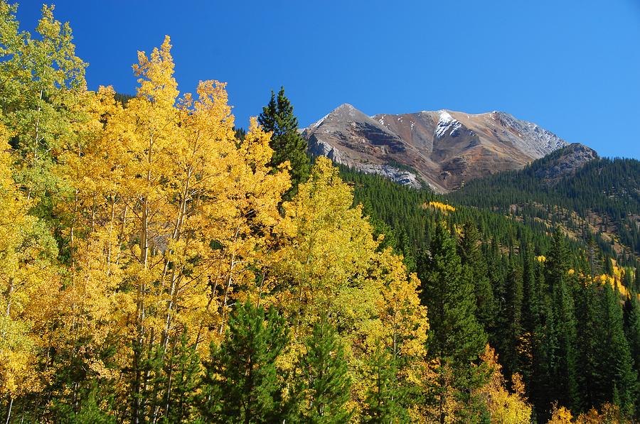 Rocky Mountain Autumn Photograph by Cascade Colors