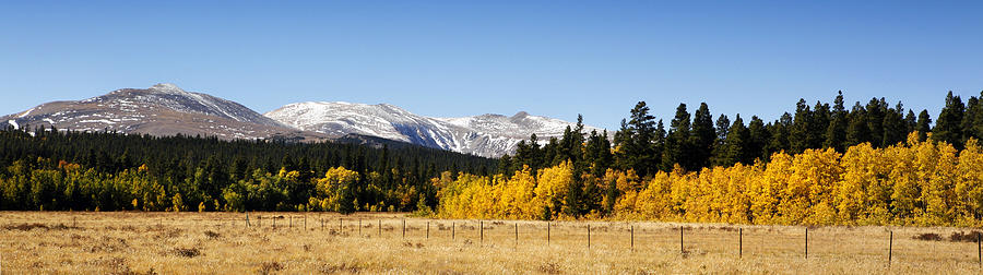 Rocky Mountain Autumn Photograph by Marilyn Hunt