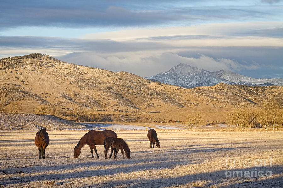 Rocky Mountain Colorado Country Morning Photograph by James BO Insogna