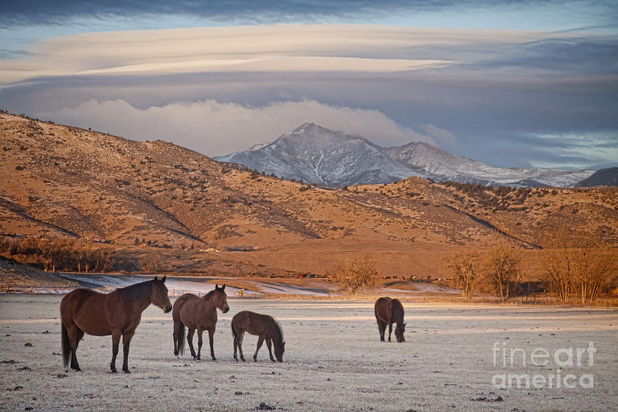 Rocky Mountain Country Morning Photograph by James BO Insogna