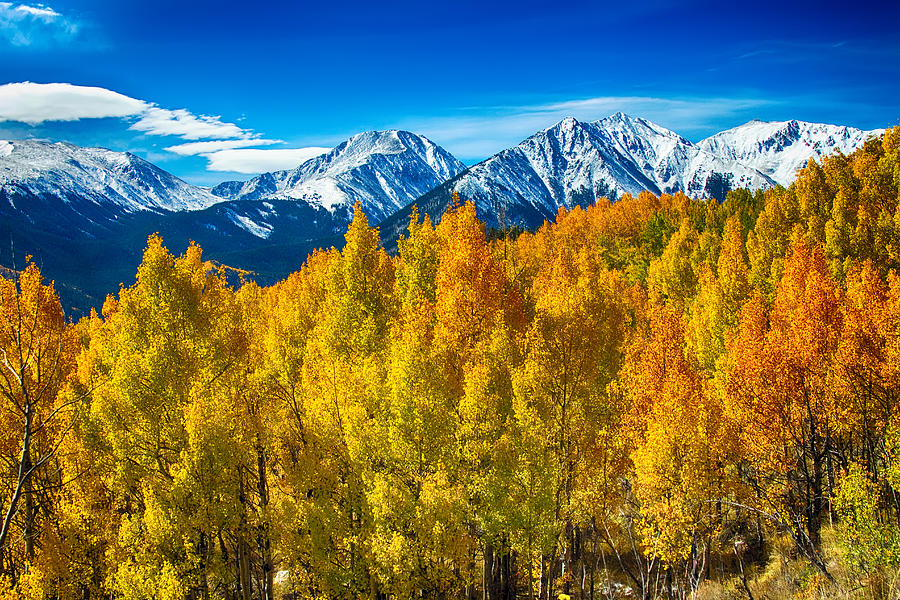 Rocky Mountain High Autumn View Photograph by James BO Insogna