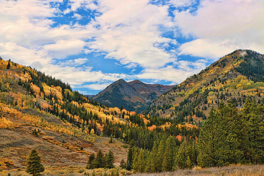 Rocky Mountain High Colorado 2 Photograph by Allen Beatty