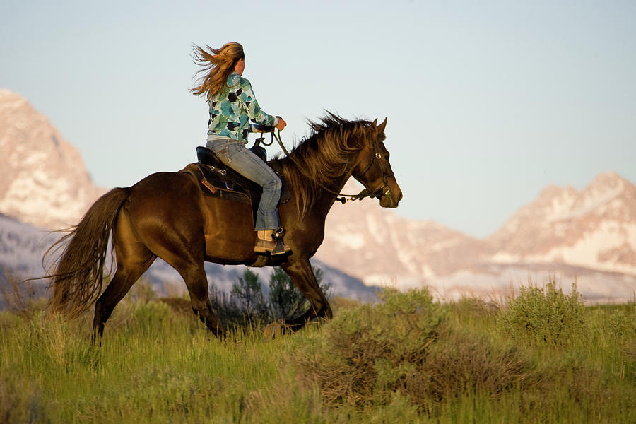 Rocky Mountain Horse And Rider Gallop Photograph by Gabe Rogel - Fine ...