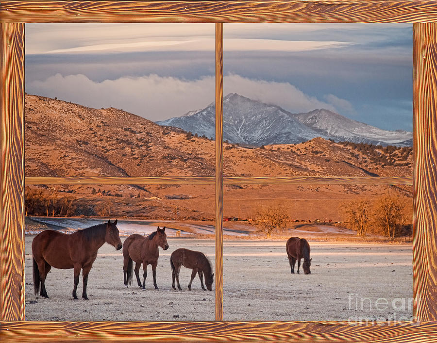 Rocky Mountain Horses Picture Window Frame Photo Art View Photograph by James BO Insogna