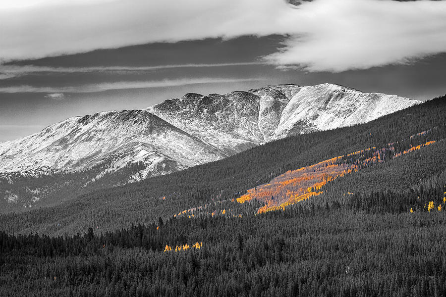 Rocky Mountain Independence Black and White Selective Photograph by James BO Insogna