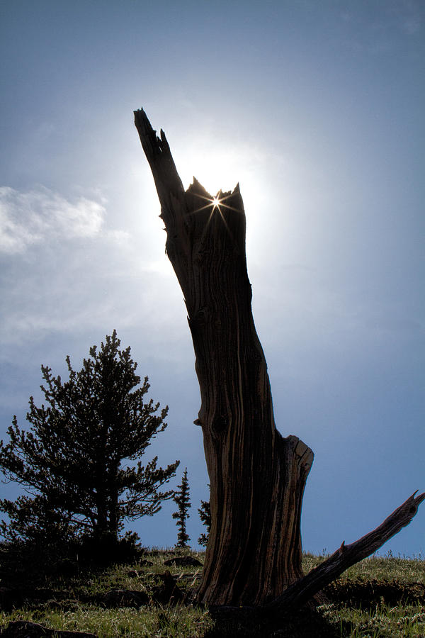 Rocky Mountain Obelisk Photograph by Jim Garrison